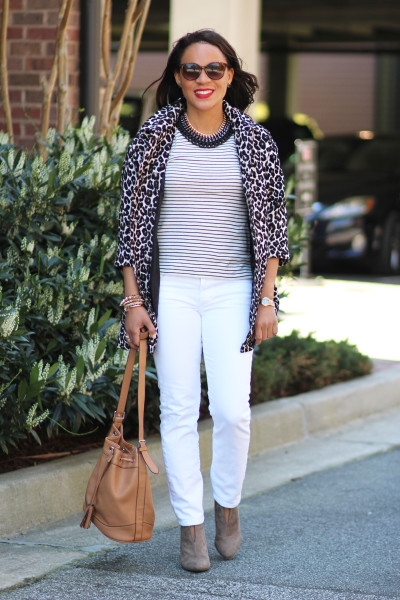 Leopard & Stripes